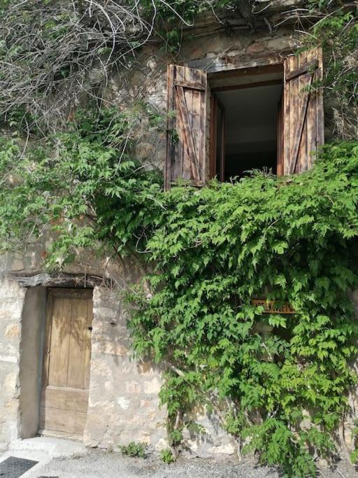 La Maison De La Vigne Bauduen Exterior foto